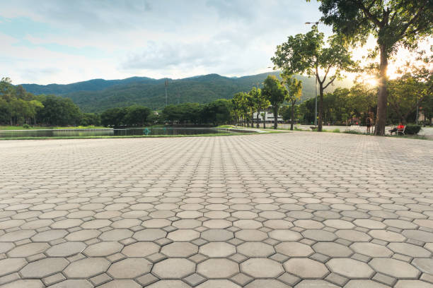 Best Residential Paver Driveway  in Richmond, VA